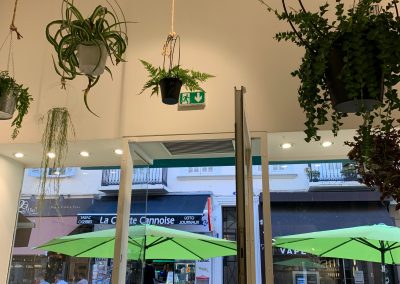 IMG-3023